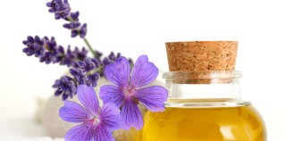 Time to Break the Harmful Ties with the Toxins of Your Body!