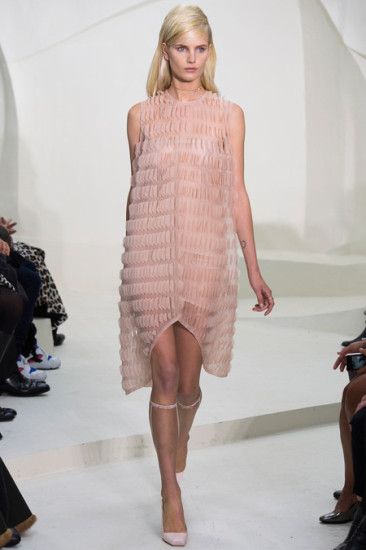 Spring Summer 2014 Haute Couture: Dior