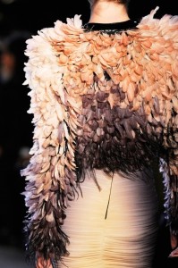 Fluffy Feathers and Eccentric Fur For The Cold Season