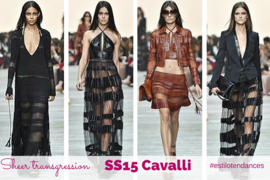 Spring/Summer 2015 Ready-To-Wear: Roberto Cavalli Women Collection