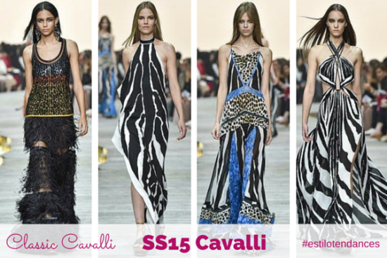 Spring/Summer 2015 Ready-To-Wear: Roberto Cavalli Women Collection