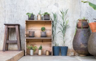 bookshelf plants pots