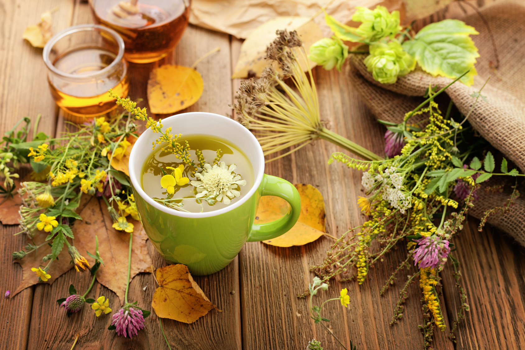 5 Herbal Products With Fantastic Health Benefits Estilo Tendances