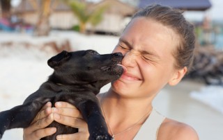 celebrity dog lovers
