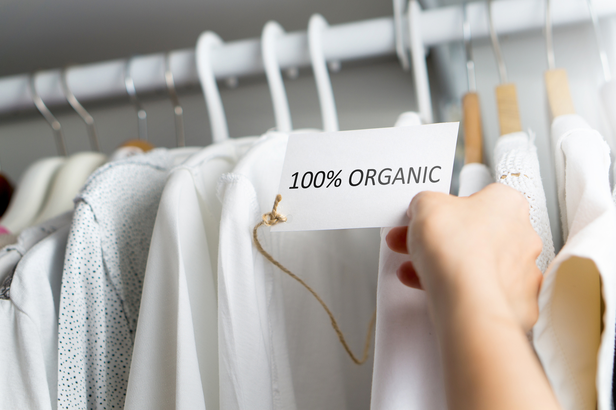 Loans for eco-friendly clothing line launch