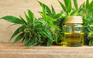 cbd hemp oil