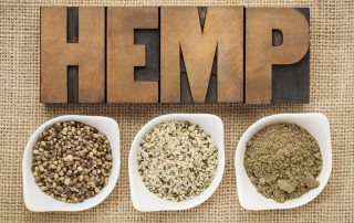 organic hemp