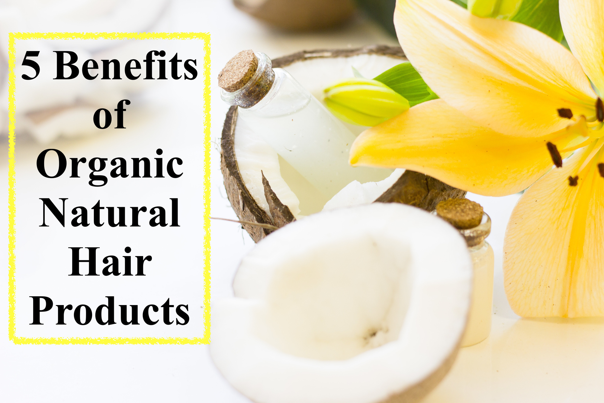 Organic, Natural Hair Products