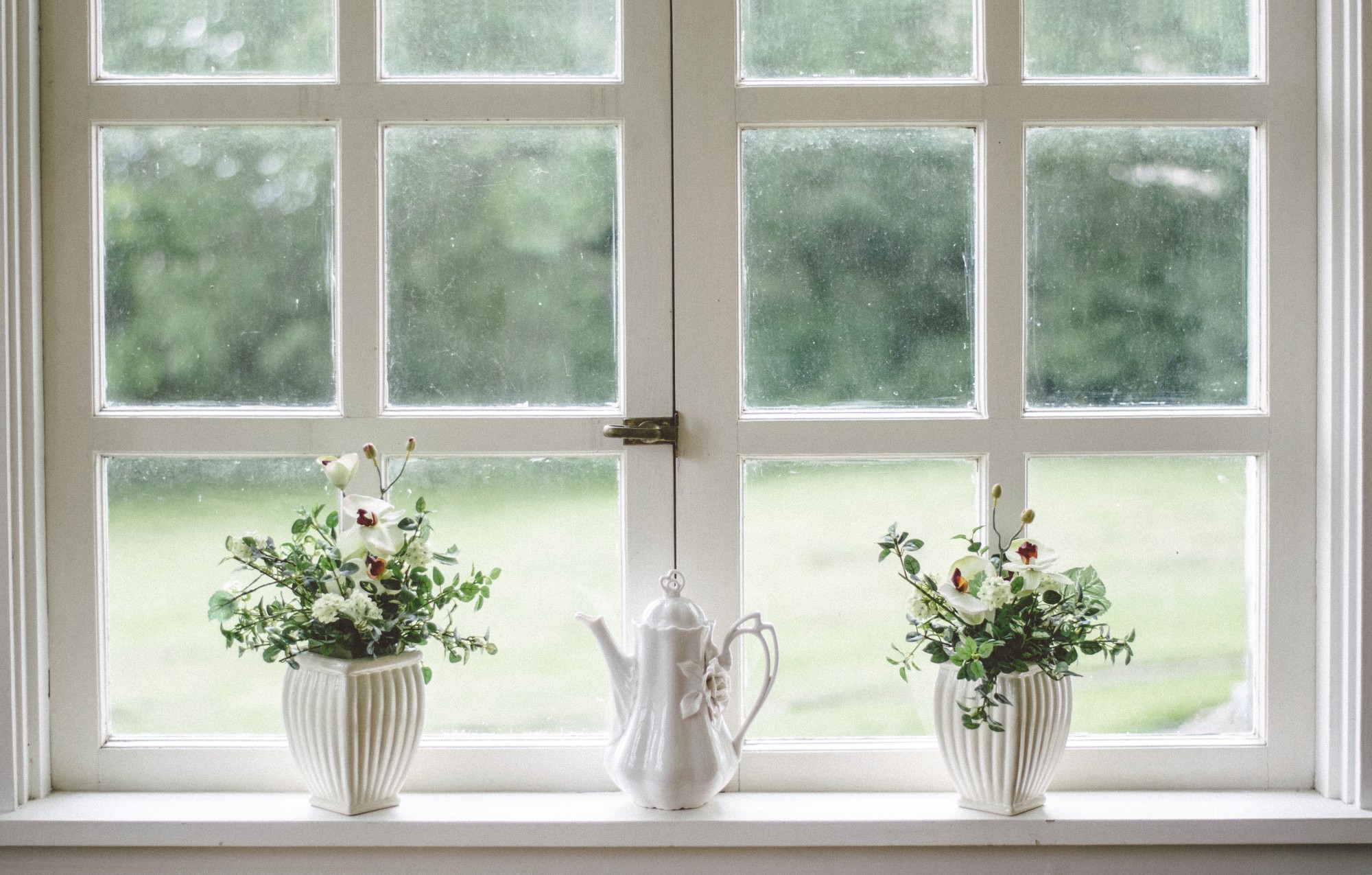 glass window with plants
