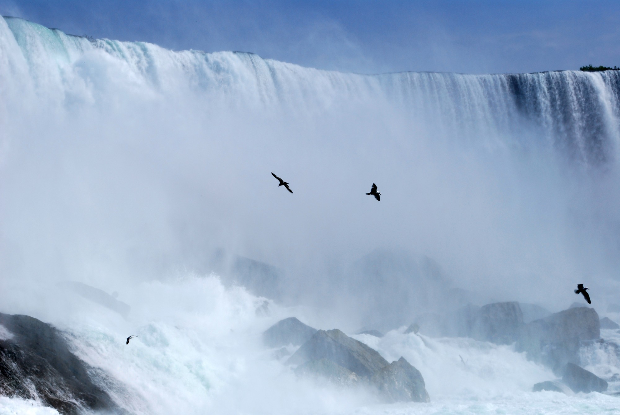 birds flying near waterfall