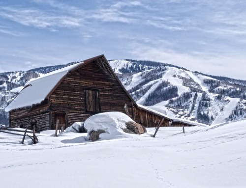 No Business Like Snow Business: The Pros and Cons of Investing in Ski Rental Properties